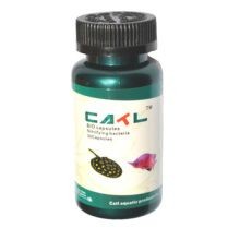 龍魚專用藥什么品牌好用點：龍魚專用藥品牌選擇