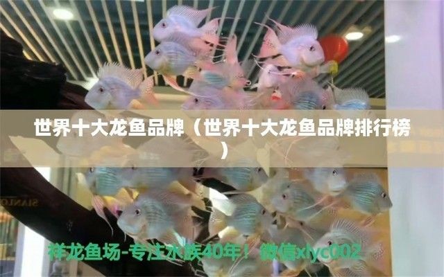 龍魚專用藥什么品牌好用點：龍魚專用藥品牌選擇