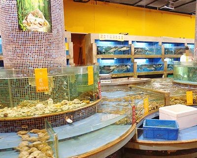 山西海之星水族工藝制品有限公司水族箱養護秘籍：山西海之星水族工藝制品