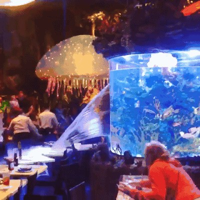 魚缸爆裂的原因及預防措施：如何預防魚缸爆裂？