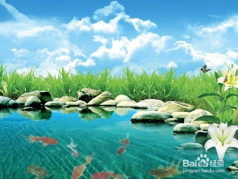 魚是怎么誕生出來的