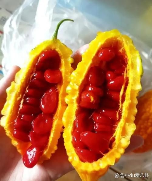高背金龍魚怎么養金質更好（如何通過飼料的選擇和喂養方法來提升高背金龍魚的金質？）