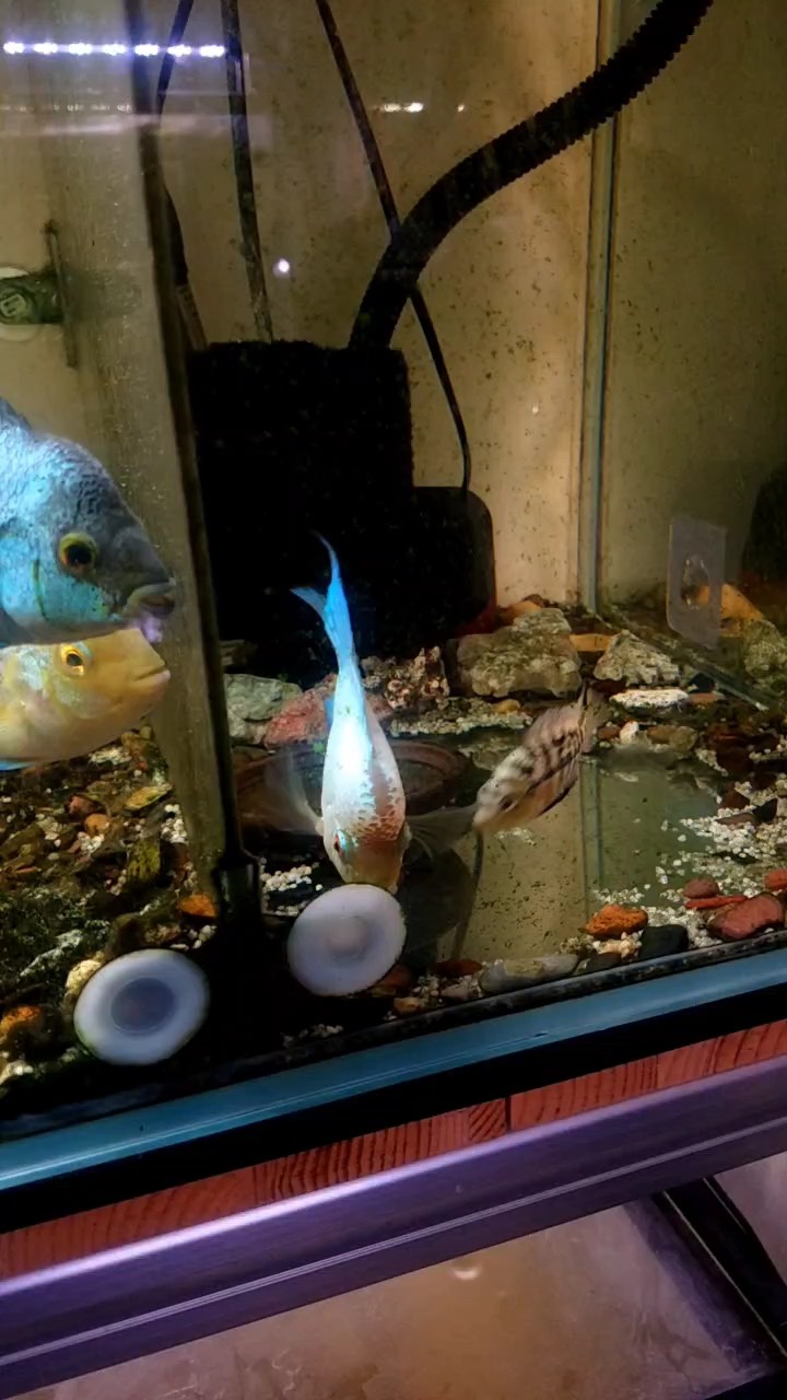 三居豪宅