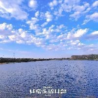 紅勾丁銀板最忌諱三個東西