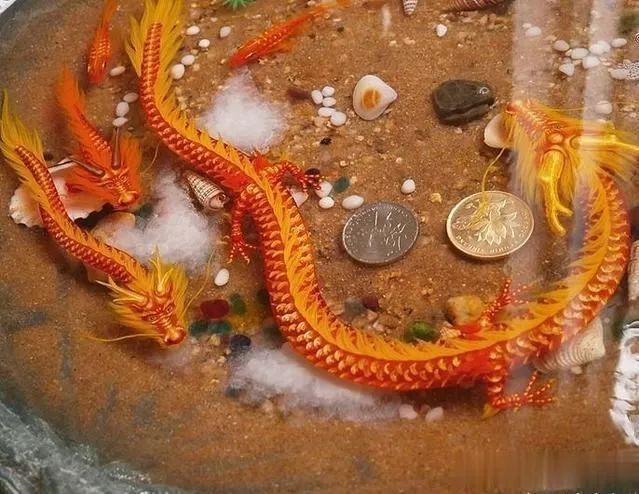魚化龍最旺的屬相