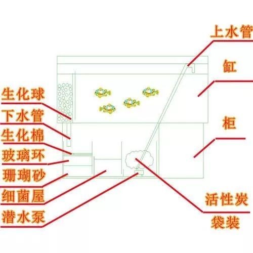 魚缸過濾系統的擺放順序：底濾魚缸濾材擺放順序