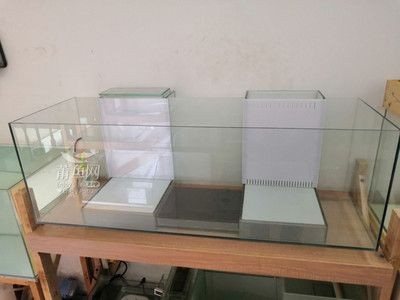 底濾魚缸設計和工作原理及優缺點有哪些底濾魚缸設計：底濾魚缸的設計和工作原理