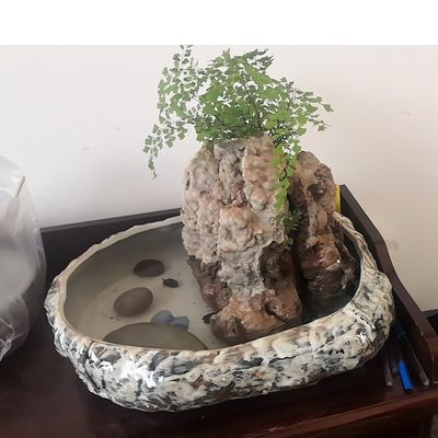花盆改造成魚缸可行嗎：花盆改裝成魚缸可行嗎？ 花盆改造成魚缸可行嗎：花盆改裝成魚缸可行嗎？ 魚缸百科 第2張