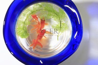 羽俙碧魚(yú)缸（澤馭名寵魚(yú)缸價(jià)格50.53元澤馭名寵魚(yú)缸價(jià)格合理）