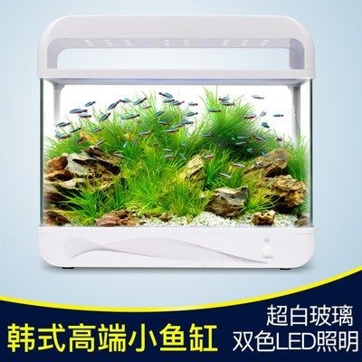 意牌魚缸廠家聯系方式：意牌魚缸廠家哪家好 意牌魚缸廠家聯系方式：意牌魚缸廠家哪家好 魚缸百科 第4張