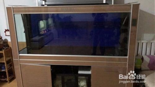 海霸魚缸：海霸魚缸以其豐富的產品線和良好的性價比在市場上占有一席之地 海霸魚缸：海霸魚缸以其豐富的產品線和良好的性價比在市場上占有一席之地 魚缸百科 第4張
