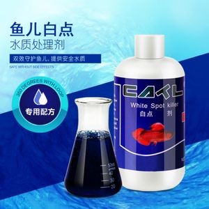 魚缸水質管理的重要性：如何改變魚缸水質