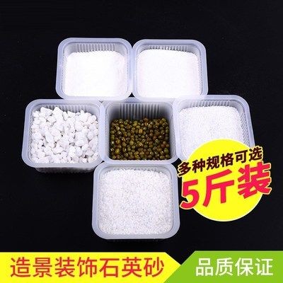 魚缸水質管理的重要性：如何改變魚缸水質