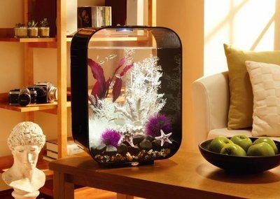 魚缸國外品牌：國外魚缸品牌品牌排名