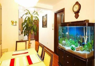 魚缸位置的擺放方位（魚缸位置的擺放方位,不僅可以美化家居環境，還能美化家居環境）