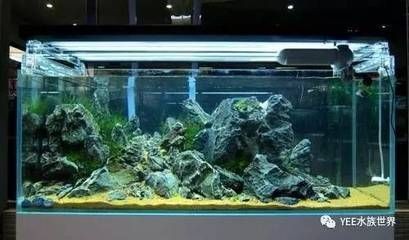 工業二氧化碳和魚缸二氧化碳(工業二氧化碳與食品級二氧化碳的區別) 魚缸百科 第4張 工業二氧化碳和魚缸二氧化碳(工業二氧化碳與食品級二氧化碳的區別) 工業二氧化碳和魚缸二氧化碳(工業二氧化碳與食品級二氧化碳的區別) 魚缸百科 第4張