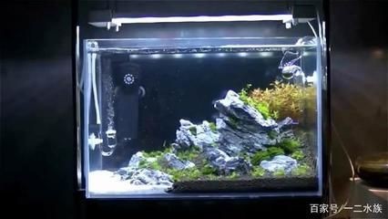 工業二氧化碳和魚缸二氧化碳（工業二氧化碳與食品級二氧化碳的區別） 工業二氧化碳和魚缸二氧化碳（工業二氧化碳與食品級二氧化碳的區別） 魚缸百科 第3張