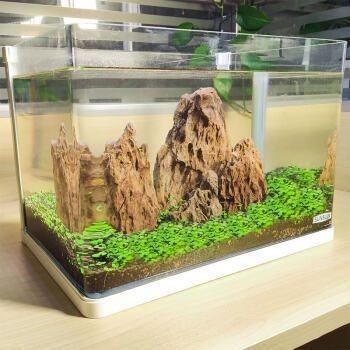 森森hrk600魚缸評測：森森hrk600魚缸用戶評價匯總 森森hrk600魚缸評測：森森hrk600魚缸用戶評價匯總 魚缸百科 第5張