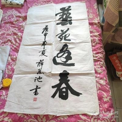 龍魚的魚怎么寫好看：關(guān)于龍魚的“魚”字怎么寫好看，我找到了一些關(guān)于龍魚的信息 龍魚的魚怎么寫好看：關(guān)于龍魚的“魚”字怎么寫好看，我找到了一些關(guān)于龍魚的信息 龍魚百科 第3張