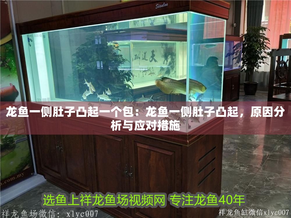 龍魚一側肚子凸起一個包：龍魚一側肚子凸起，原因分析與應對措施