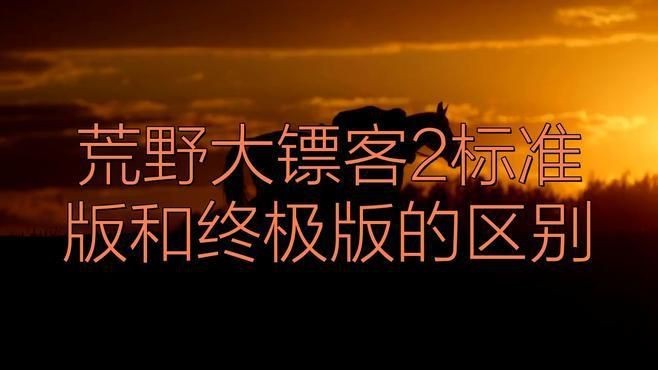荒野大鏢客2買哪個版本劃算 荒野大鏢客2買哪個版本劃算 龍魚論壇 第6張