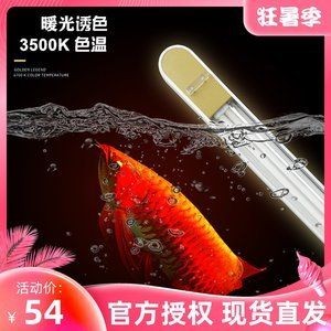 龍魚用2700k的燈有什么好處：2700k的燈對龍魚的發(fā)色有很大的促進(jìn)作用