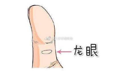 龍眼紋手相 龍眼紋手相 龍魚論壇 第1張