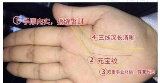 龍眼紋手相 龍眼紋手相 龍魚論壇 第8張
