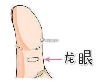 龍眼紋手相 龍眼紋手相 龍魚論壇 第9張