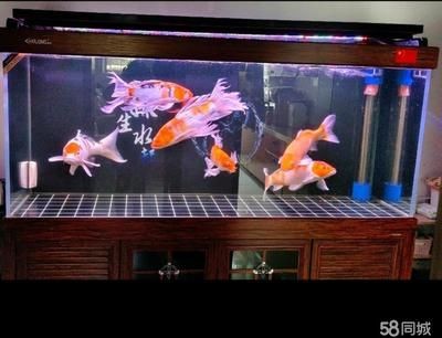 西龍魚缸專用泵安裝方法（魚缸水泵安裝）