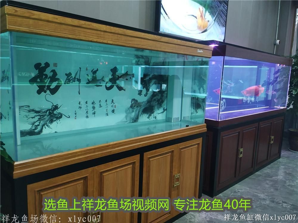 大理白族自治州龍魚魚缸：大理白族自治州龍魚魚缸，藝術與自然的完美融合
