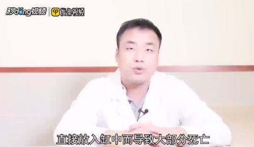 如何養(yǎng)魚(yú)缸里的魚(yú)：在魚(yú)缸中飼養(yǎng)魚(yú)類(lèi)時(shí)，需要注意以下幾個(gè)關(guān)鍵點(diǎn)，水質(zhì)管理至關(guān)重要