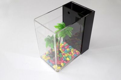 選擇浮法玻璃魚缸還是亞克力魚缸亞克力魚缸：浮法玻璃魚缸與亞克力魚缸的區別