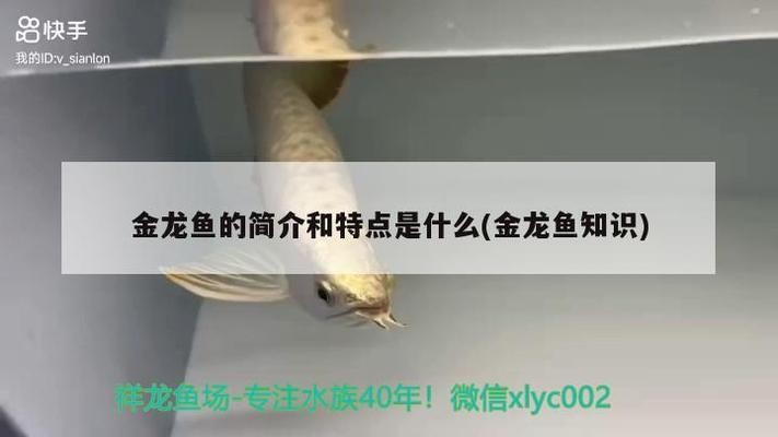 桃源縣愛室麗水族館（愛室麗電話）