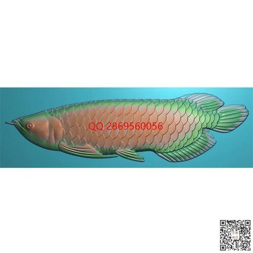 金龍魚浮雕圖片 金龍魚浮雕圖片 龍魚論壇 第4張