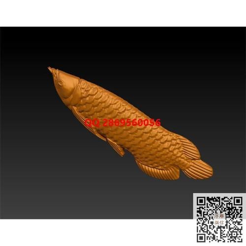 金龍魚浮雕圖片 金龍魚浮雕圖片 龍魚論壇 第17張