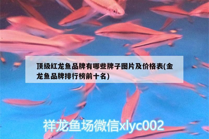 古塔區(qū)花鳥魚城雁冰水族店： 古塔區(qū)花鳥魚城雁冰水族店： 全國水族館企業(yè)名錄 第1張