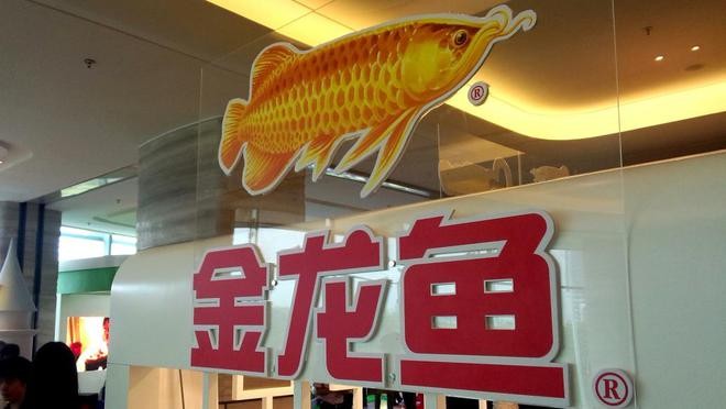 南昌市東湖區可麗愛水族店（南昌市東湖區可麗愛水族店地址）