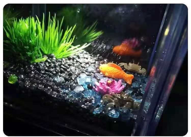 養魚新手養魚新手入門指南，新手養魚新手入門指南：養魚新手入門指南