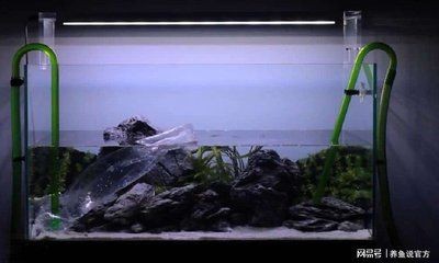 觀賞魚品種大全及種類有哪些，佛山觀賞魚養殖基地有哪些品種