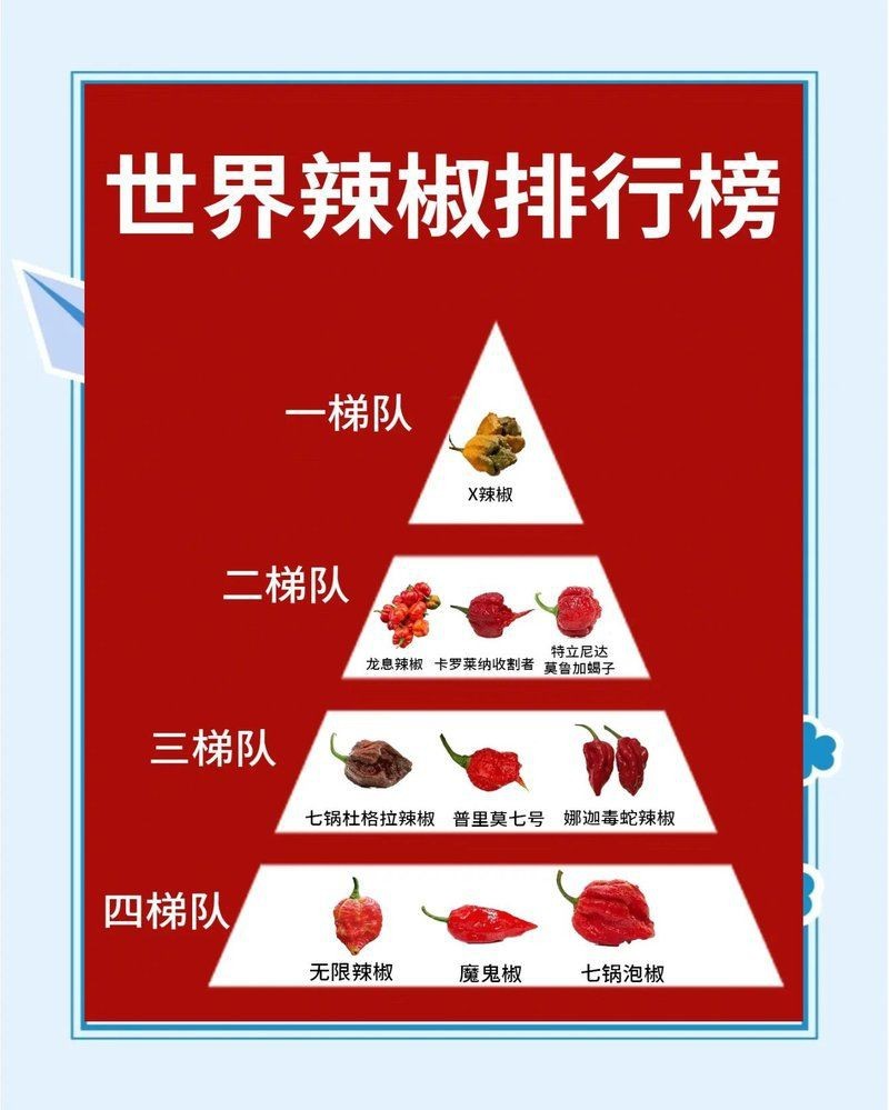 給我一份詳細的國內拍賣公司排名，2018中國國內拍賣公司排名