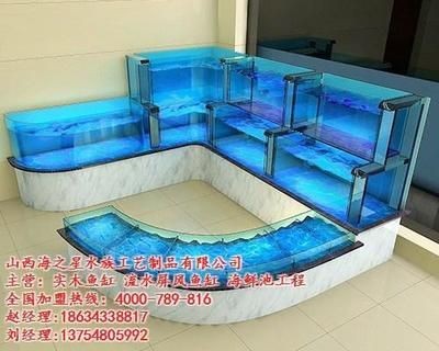 海之星魚缸是一種經濟實用的專業制作生態魚缸的選擇：山西海之星生態魚缸