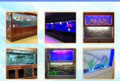 海之星魚缸是一種經濟實用的專業制作生態魚缸的選擇：山西海之星生態魚缸