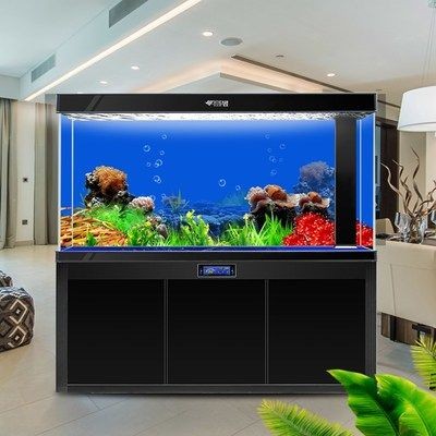 魚缸水景設計的藝術與科學：海底造景魚缸設計效果圖揭秘珊瑚礁生態系統揭秘