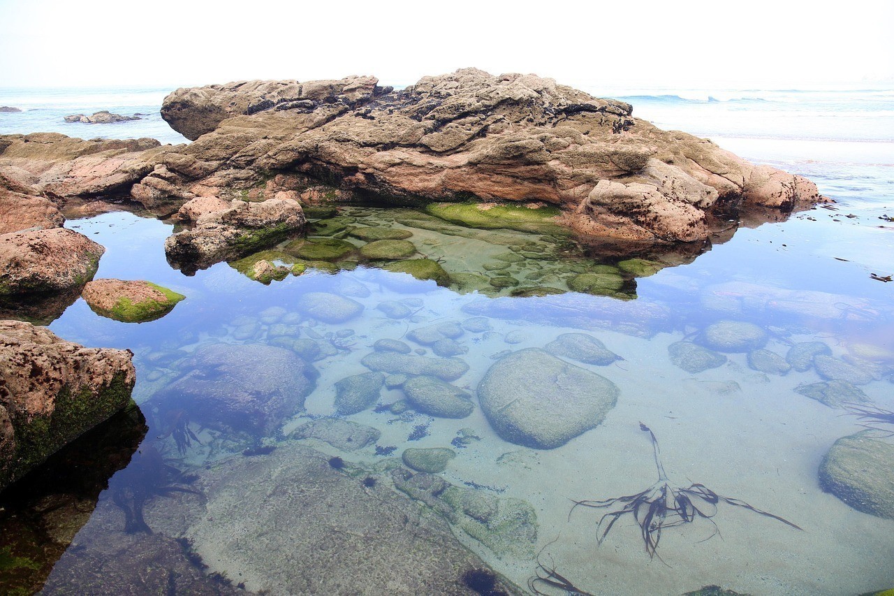 潛水艇魚(yú)越出水面最簡(jiǎn)單三個(gè)步驟 龍魚(yú)論壇 第1張 潛水艇魚(yú)越出水面最簡(jiǎn)單三個(gè)步驟 潛水艇魚(yú)越出水面最簡(jiǎn)單三個(gè)步驟 龍魚(yú)論壇 第1張
