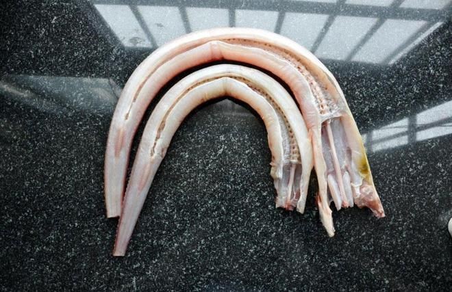 龍魚鱗片潰爛：龍魚鱗片潰爛怎么辦