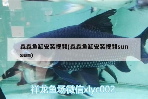 魚缸sunsun怎樣安裝：魚缸風水布局指南