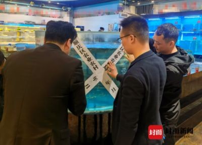廣漢魚缸定制店怎么找：廣漢魚缸定制店