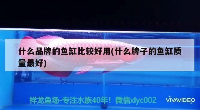 頂級魚缸品牌排行榜：日本頂級魚缸品牌排行榜 頂級魚缸品牌排行榜：日本頂級魚缸品牌排行榜 魚缸百科 第5張