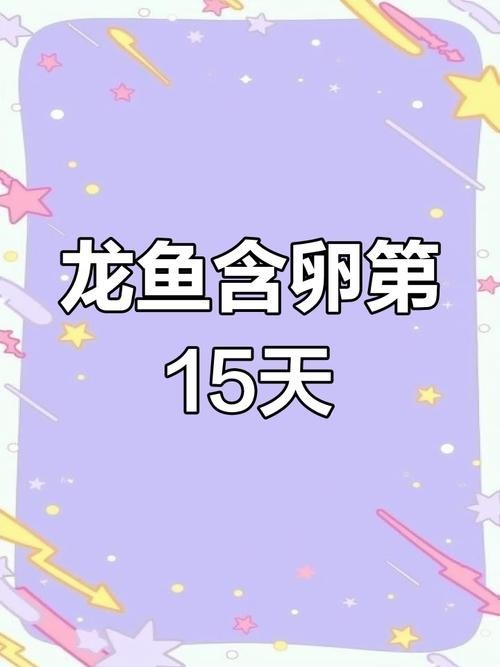 龍魚抱卵癥狀圖片